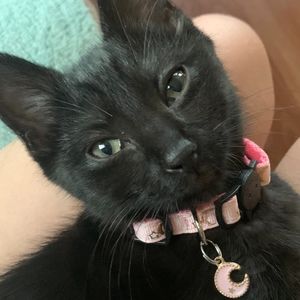 Meet your Posher, Leah